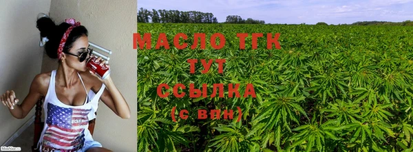 экстази Гусь-Хрустальный