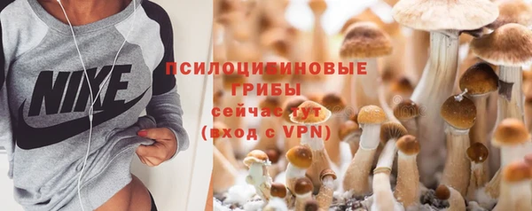 экстази Гусь-Хрустальный